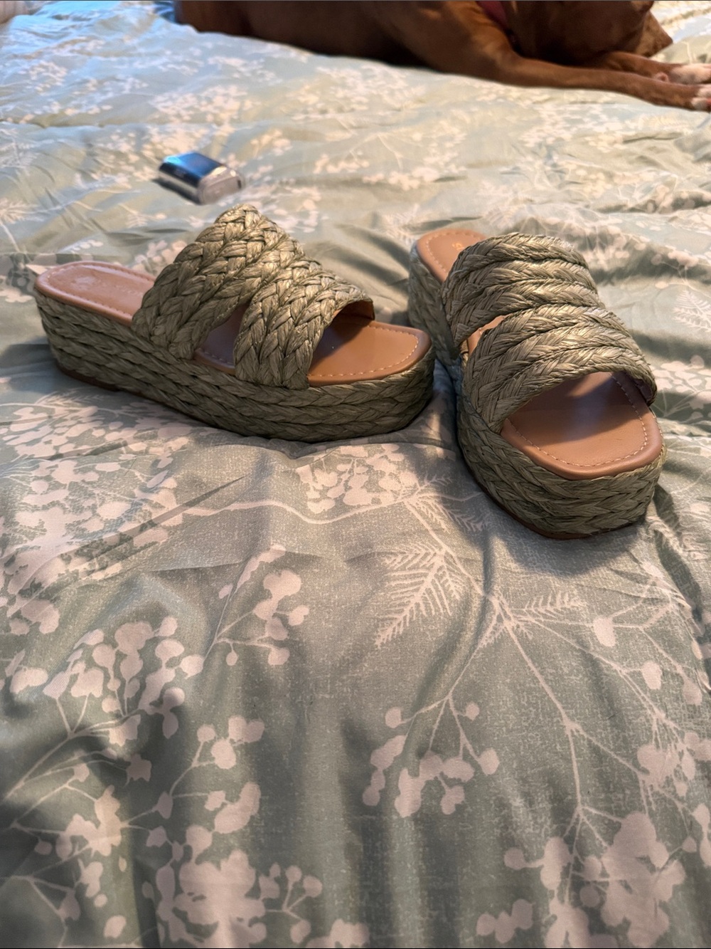 Sun + Stone Braided Platform Slide Sandals in Sage